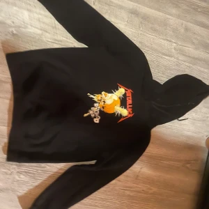 Metallica hoodie - Hoodie från H&M  Djur finns i hemmet