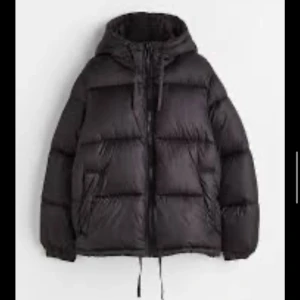 Svart pufferjacka - Säljer en svart pufferjacka med dragkedja. Jackan har en klassisk design med långa ärmar och är perfekt för kyligare väder. Den är både stilren och funktionell. Från H&M 