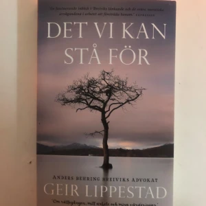 Det vi kan stå för - Boken 'Det vi kan stå för' av Geir Lippestad ger en fascinerande inblick i moraliska överväganden och rättvisa. Omslaget visar ett ensamt träd mot en dramatisk himmel, vilket speglar bokens djupgående teman.