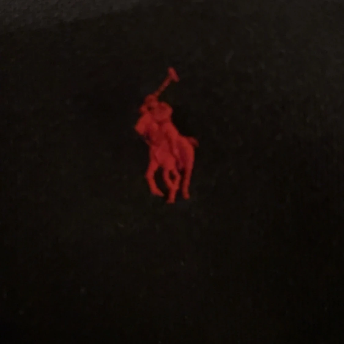  Ralph Lauren hoodie - 2