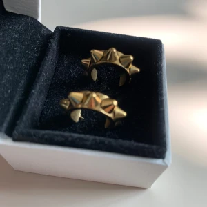 Guldörhängen med nitar - Säljer ett par populära nitörhängen från edblad till ett billigare pris! Örhängena har inga defekter och är bara använda ett fåtal gånger och tvättade! Asken ingår inte! Hör av er om ev frågor! 😊 ”Ploppar” ingår ej! 