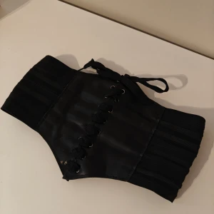 Korsettbälte/midjeskärp svart - Korsettbälte/midjeskärp med kardborrband på baksidan I bra skick   Säljer åt min syster där djur finns i hemmet