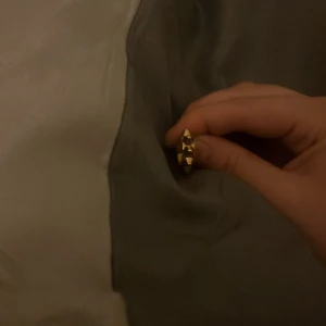 Säljer en Edblad örhänge  - Har slarvat bort den andra men man kan ha en i bara och de är snyggt med flera örhängen❤️