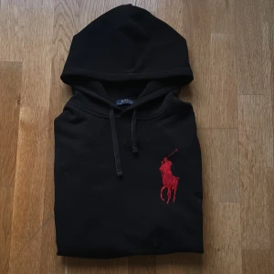 Ralph lauren big pony hoodie - Ovanlig Ralph lauren big pony hoodie . Skick 10/10 strl M men sitter som S . Vid minsta funderingar hör av er!