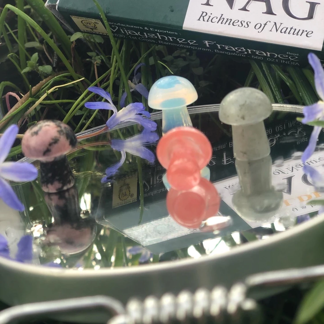 Kristall svampar 🍄 