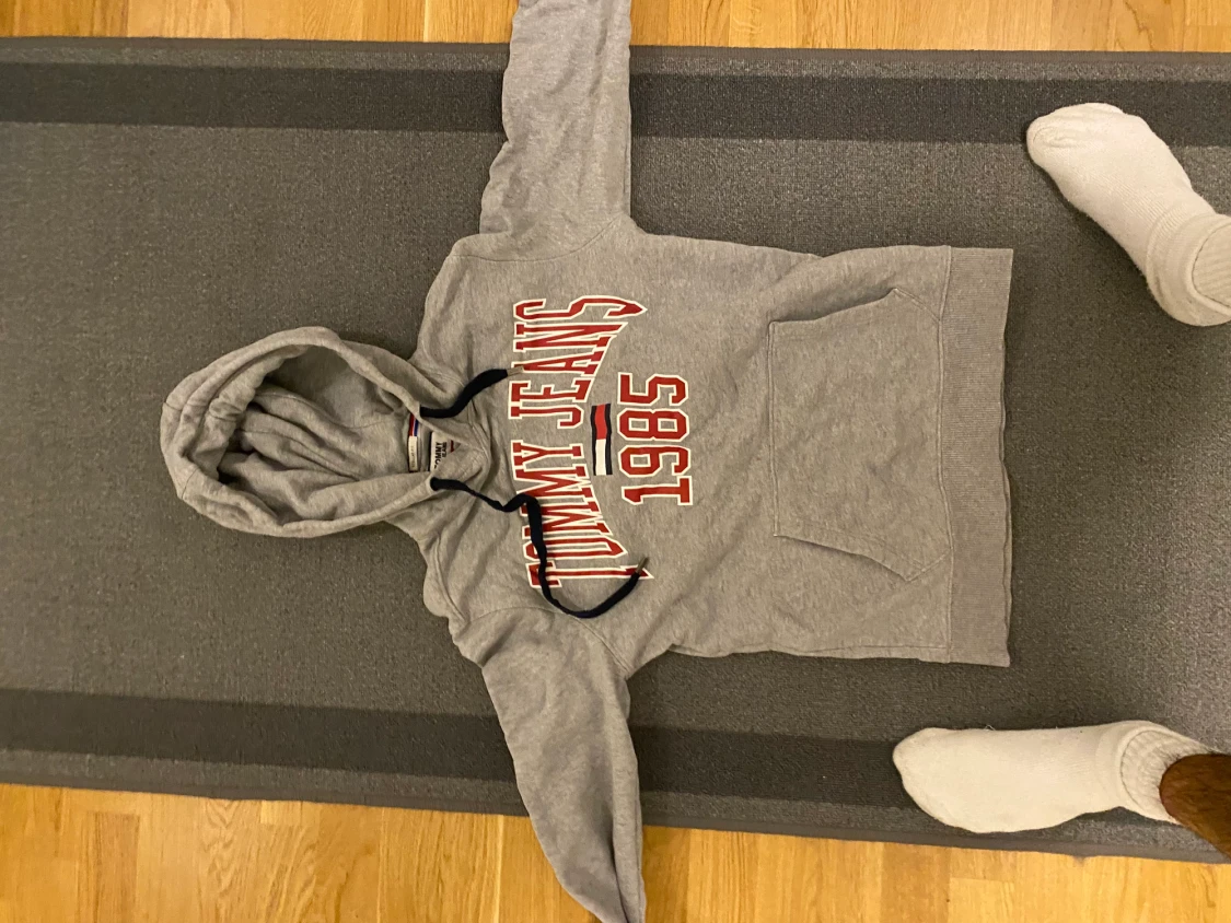 Tommy hilfiger hoodie