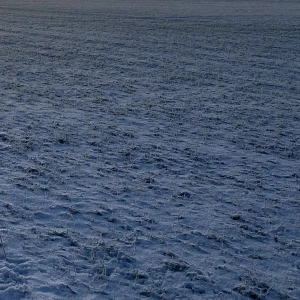 Byxor/Kjol? - Fått dessa byxor. Köpta i Thailand. Kjol/Byxor. Knytes i midjan. Passform S-L. Resår i midjan. 