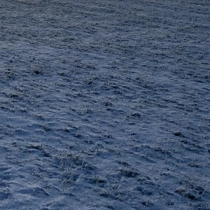 Tubtopp  - Topp. Röd och sitter bra. Glider ej ner. Str. S passform Xs-S