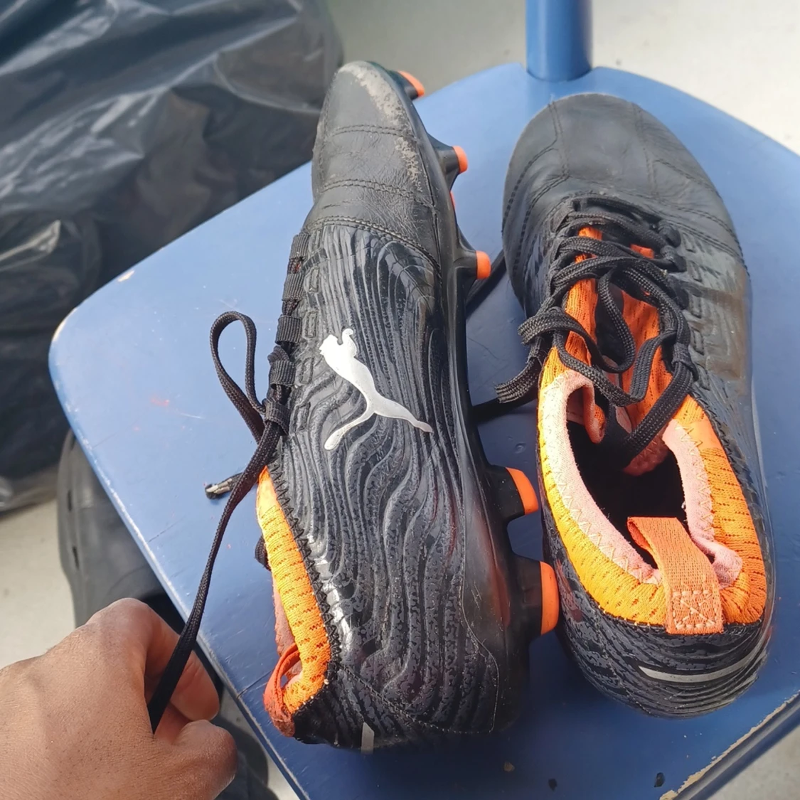 Puma (limited edition) - 90