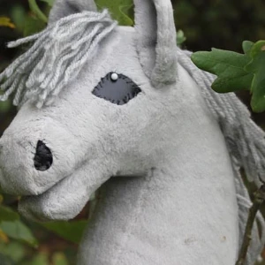 Käppisar - Bild 1, citrus kostar 400kr bild 2, scout kostar 350kr  Behöver verkligen få sålt. Man får med grimma till scout och träns får man med till citrus annars får man betala extra 