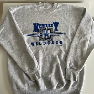 Vintage sweatshirt grå - Kentucky Wildcats - Fruit of the Loom, vintage sweatshirt ca 90s