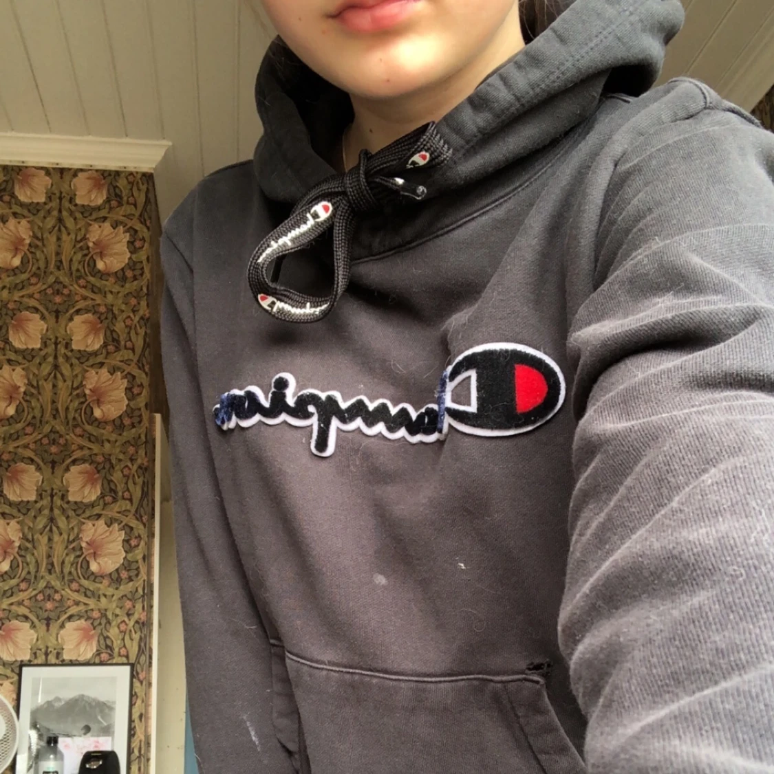 Champion hoodie