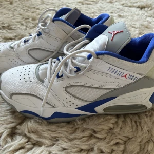 Jordan Point Lane  - Äkta Jordans!! Snygga, bekväma och praktiska skor med bra skick! Super fina färgkombinationer! Vid frågor är det bara att kontakta:)