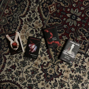 Twilight Saga böcker - Hela samlingen! På det yttre syns det att dem har använts, men det påverkar inte innehållet! Frakten är 2kg = 104kr (det som står där nere stämmer inte!)
