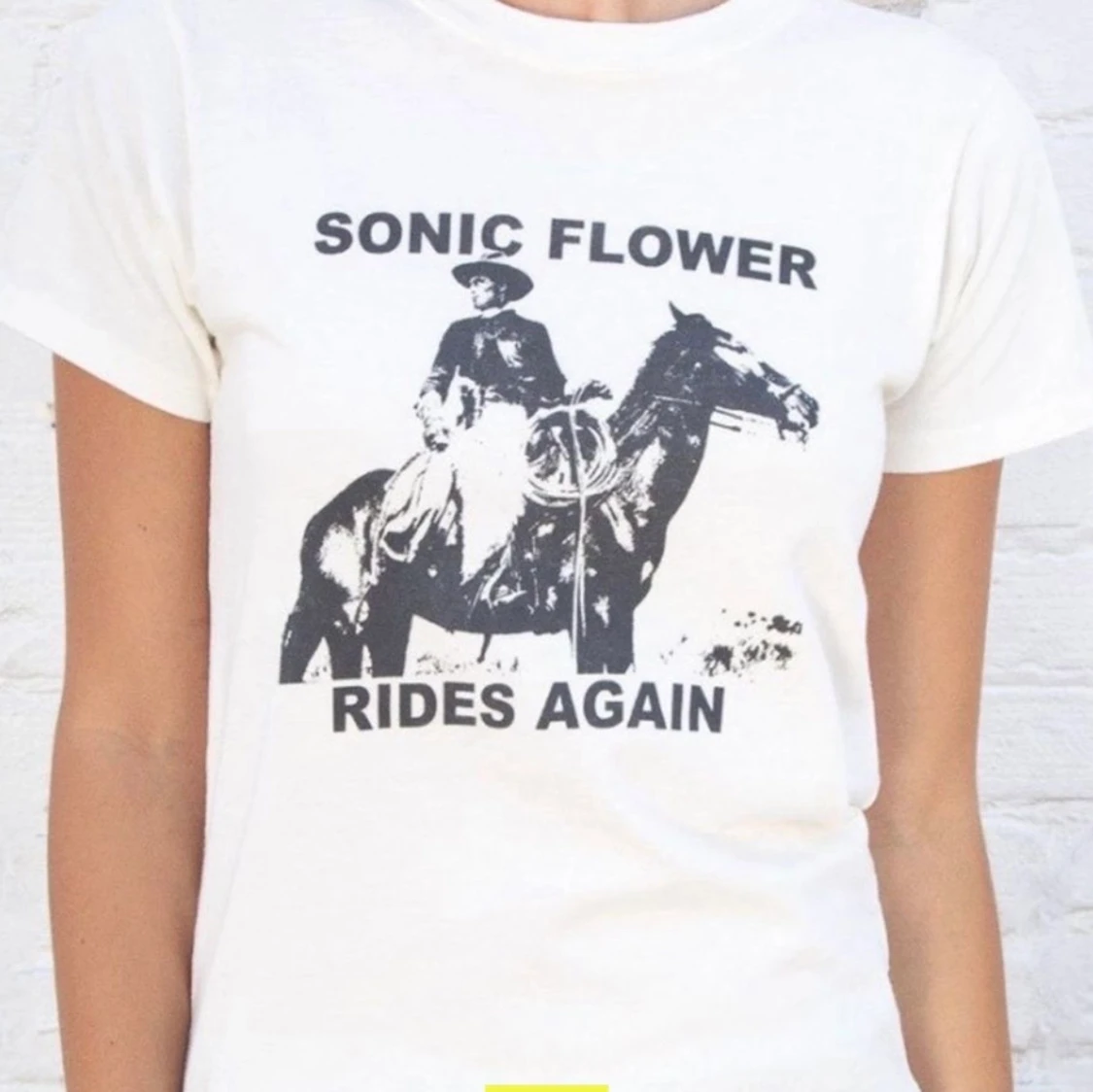 Brandy melville tshirt 