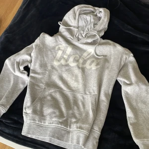 Hoodie UCLE - grey sweater