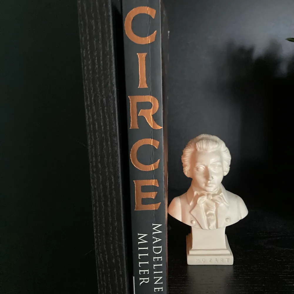 Circe av Madeline Miller har vunnit priser så som ‘Goodreads Choice Awards, Best Fantasy’ och är en otrolig vacker skriven bok om häxan Circe inom grekisk mytologi. Boken är aningen trasig på bokryggen, annars i fint skick.. Övrigt.