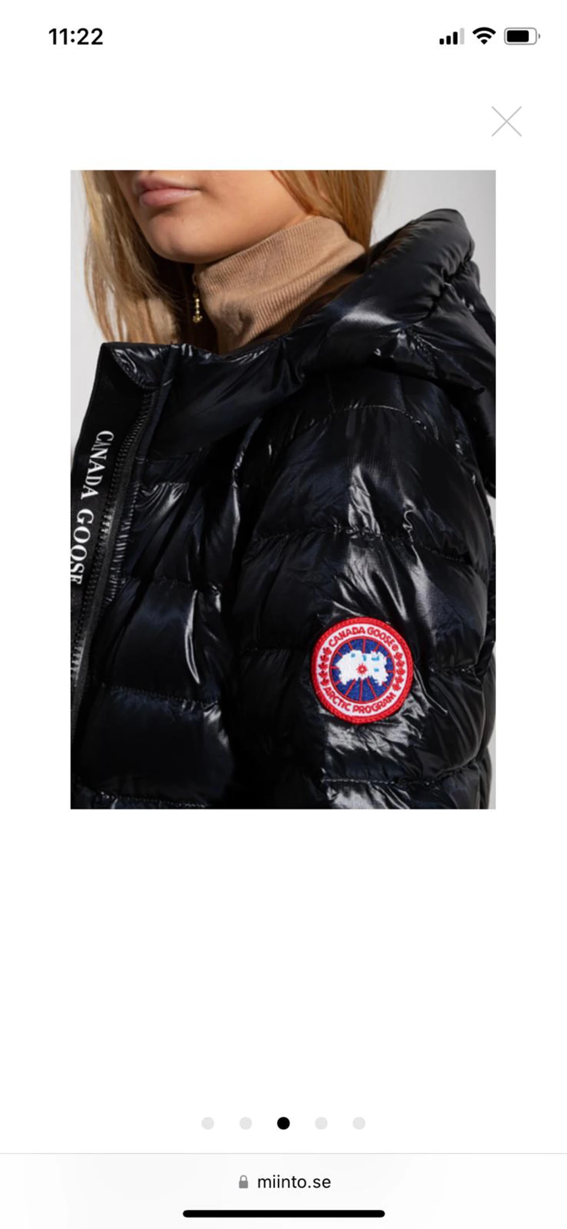 Canada Goose  - 90