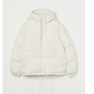 Vinterjacka H&M - Säljer denna fina jackan ifrån h&m! Storlek M men passar mig som är s