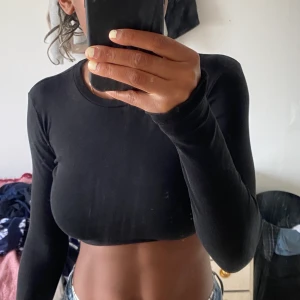 Långärmad crop top - Långärmad crop top från zara, använd 1 gång, bra till höst, slutsåld och populär
