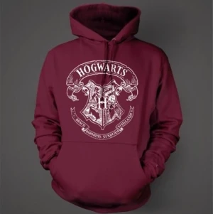 Hogwarts hoddie  - Säljer denna Hogwarts hoddie som inte kommer till användning!💗💗