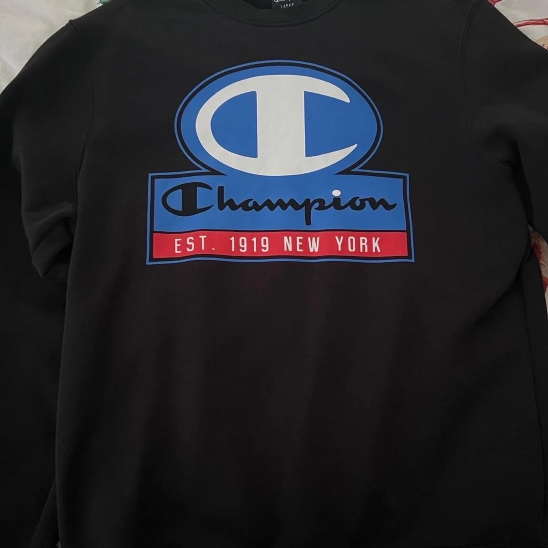 Champion tröja storlek L 