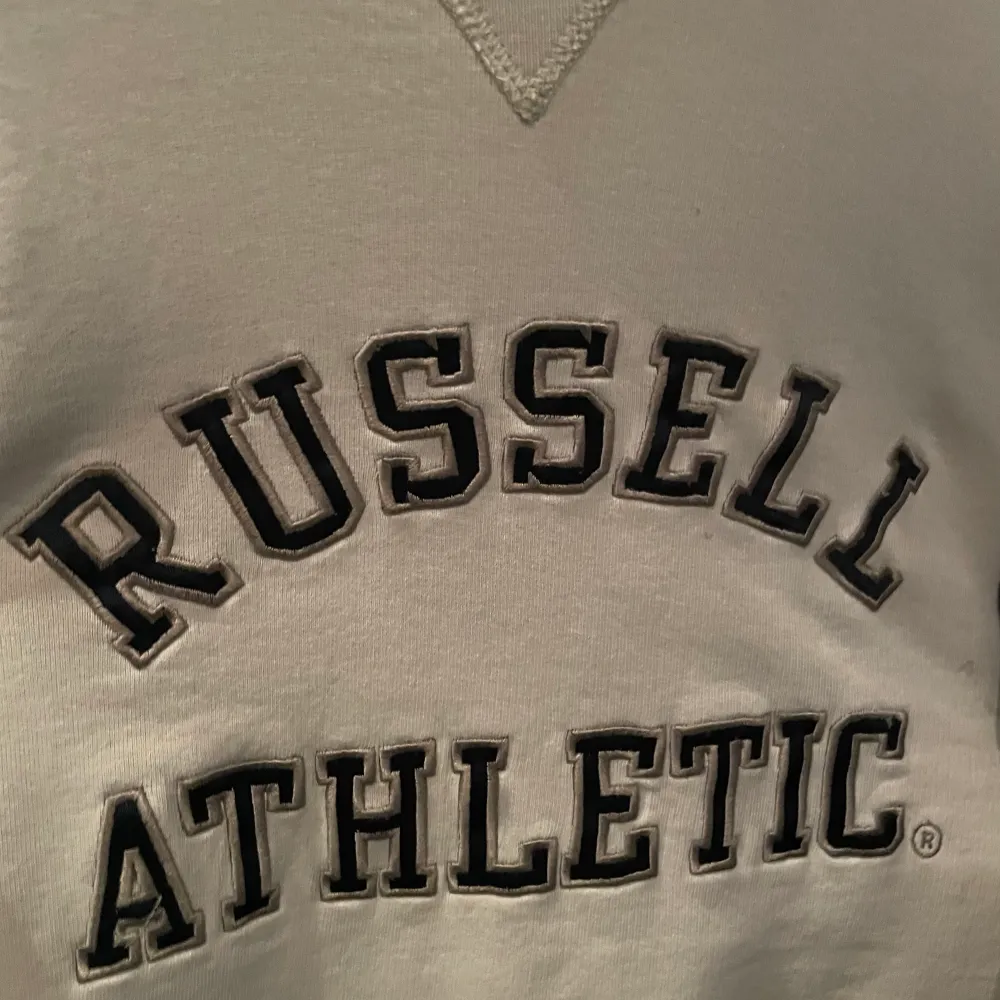 Snygg vintage sweatshirt från Russell athletic. Storlek M men går även att ha som en oversized sweatshirt. Mycket bra skick!. Hoodies.