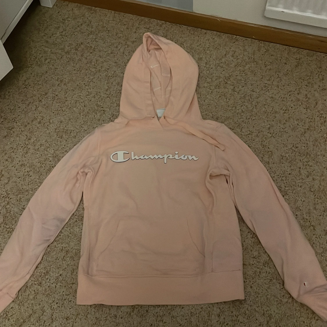 Champion hoodie