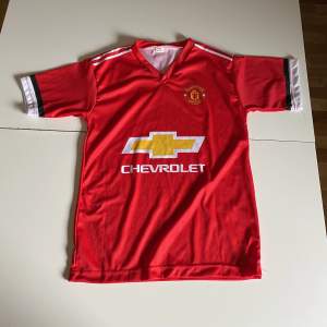 Säljer denna Manchester United tröja. Köptes secondhand för runt ett år sedan och har knappt änvänts sen dess. 