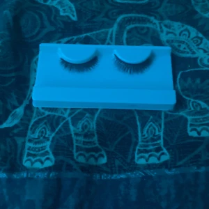 Fransa - Ett par helt nya fransar från dollarstore säljer för 20 kronor 