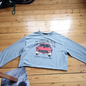 Långärmad tröja strl xs - Grå långärmad tröja i strl xs med ett tryck fram helt oanvänd från Shein