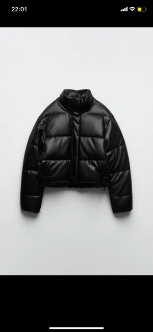 Jacka  - Svart skin-vinterjacka ifrån Zara, i nyskick💕
