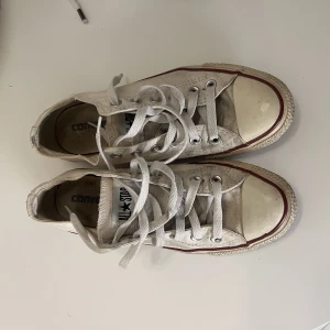 Converse - Låga vita Converse! Storlek 38