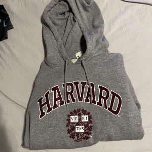Hoodie - Harvard hoodie från hm