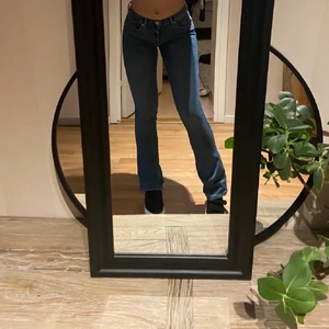 Lågmidjade bootcutjeans xs - Ett var super snygga lågmidjade jeans den bikbok i storlek Xs (passar som 32/34). I nytt sick nästan och är super snygga men är inte i min storlek. 