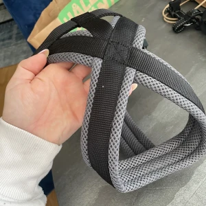 Hundaele från Hunter S/M - Vadderad, justerbar, säkerhetsspännen. Använd någon gång och fått nån repa på spännet men funkar. Strl S-M 56cm, men går som nämnt att justera. Pris kommer vi överens om, är mer mån om att den kommer till användning än pengar.