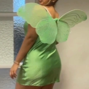 Vingar - Ljusgröna vingar med glitter på. Passar perfekt till en halloween kostym om du ska vara någon typ utav älva / tingeling. Köpt för 250kr