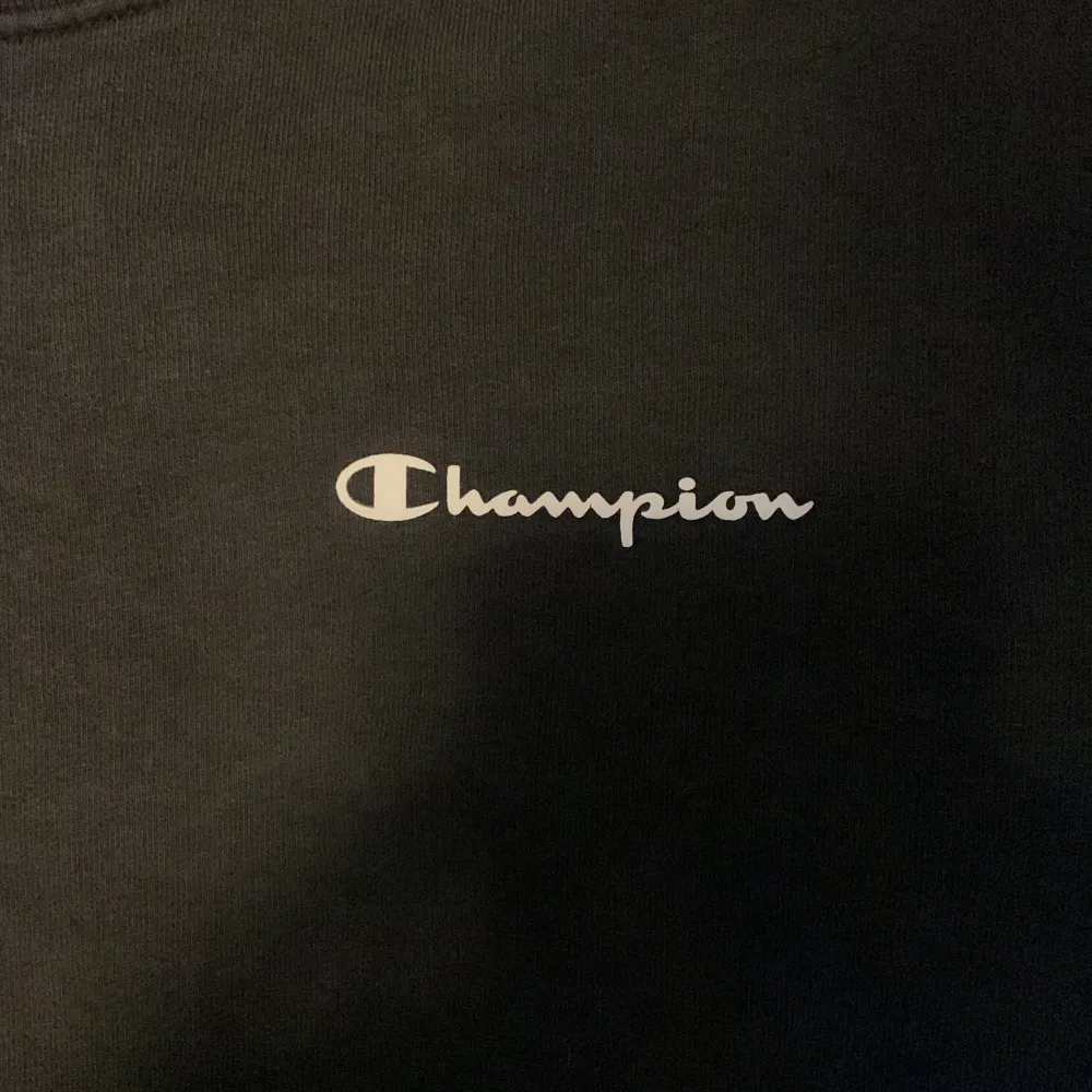 Champion tröja i storlek small, bra skick inga hål eller något . Hoodies.