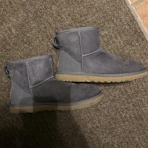 Uggs  - Säljer mina lila/grå uggs som är i strl 39 men passar även 40. Väldigt sparsamt använda 