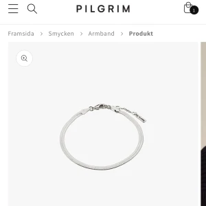 Pilgrim Joanna armband - Säljer den trendiga Joanna armbandet i silver från pilgrim! Oanvänd med lappen kvar (se bild 3). Originalpris 299kr, jag säljer för 149kr. Hör av dig vid funderingar/fler bilder💞 Säljer även matchande halsband och man kan få rabatt om man köper båda 🥰