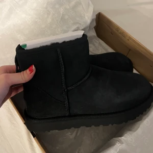 Uggs  - Oanvända, helt nya storlek 39. Äkta såklart 