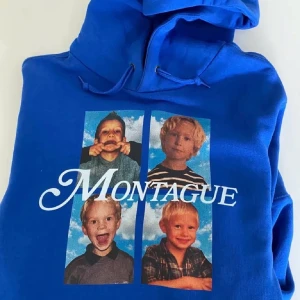 SÖKER HOV1 Hoodie - Söker en hov1 hoodie! Helst en av dessa🥰💗 Strl ca S-L