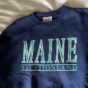 Sweatshirt storlek M - Fet sweatshirt i storlek M 9/10 den är lite nopprig men annars är den perfekt. Säljer då jag inte funnit någon användning av den.