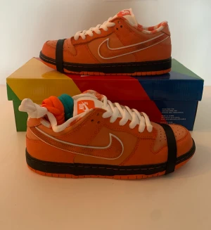 Sb dunk low lobster - Ett par oanvända lobster dunks🦞 Väldigt populära och snygga🔥En sko som passar hela året runt💪🏽 Frågor och pris kan diskuteras📱 Äktes bevis finns⚡️ Storlek 40,5👟