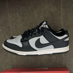 Nike Dunk Low Georgetown - Nike Dunk George town i storlek 42, allt og och köpta från stockx. Skick 9/10 som nya, nypris på ca 2800. Bara att höra av sig vid frågor och funderingar! :)