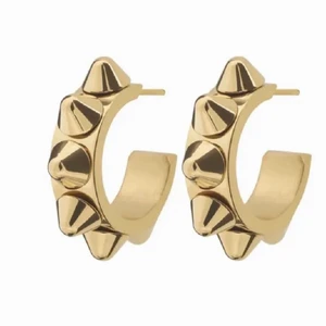 Örhänge  - Örhänge från Edblad, aldrig använda, jag har endast prövat de för att se hur de sitter, säljer då jag inte tyckte att det passade min stil 