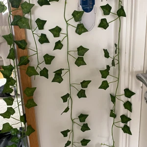 TVÅ VINES - jag säljer två vines som är 200 CM/ två meter långa. Dom är gröna och man kan sätta up dom på väggen.