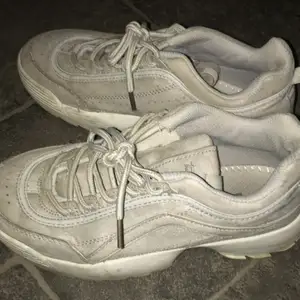 Ett par skor som jag inte använder längre är i storlek 35,5 färg grå