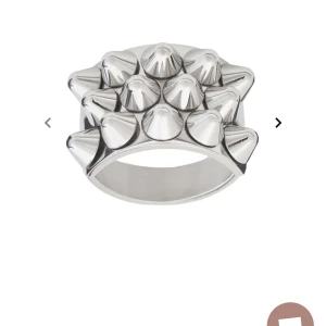 Edblad ring  - Säljer denna ring från Edblad. Den är helt oanvänd med lapp kvar, då den var för liten❣️16,8mm i diameter, köparen står för frakt