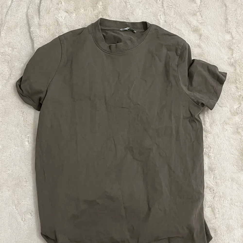 En kall brun zara t shirt, Xl men passar som en M/S. T-shirts.